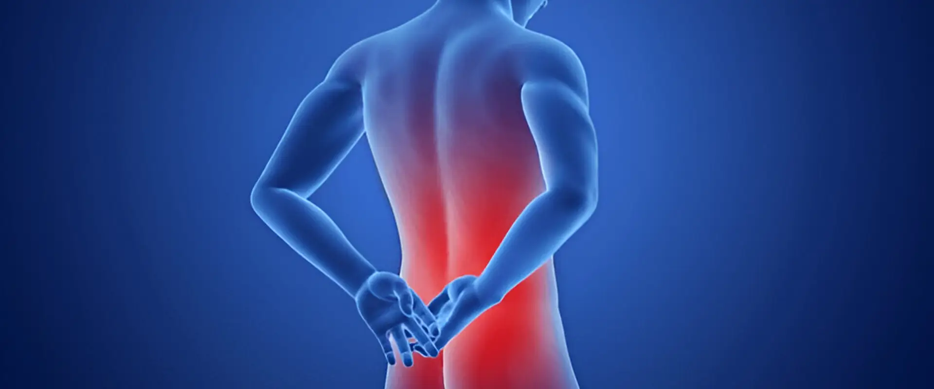 Dr. Md. Jobayer Hossain